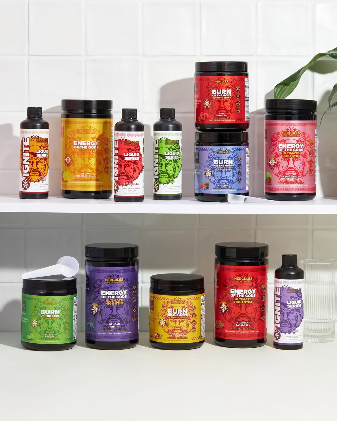 HERCULES SUPPLEMENTS Your Daily All In One Super Drink