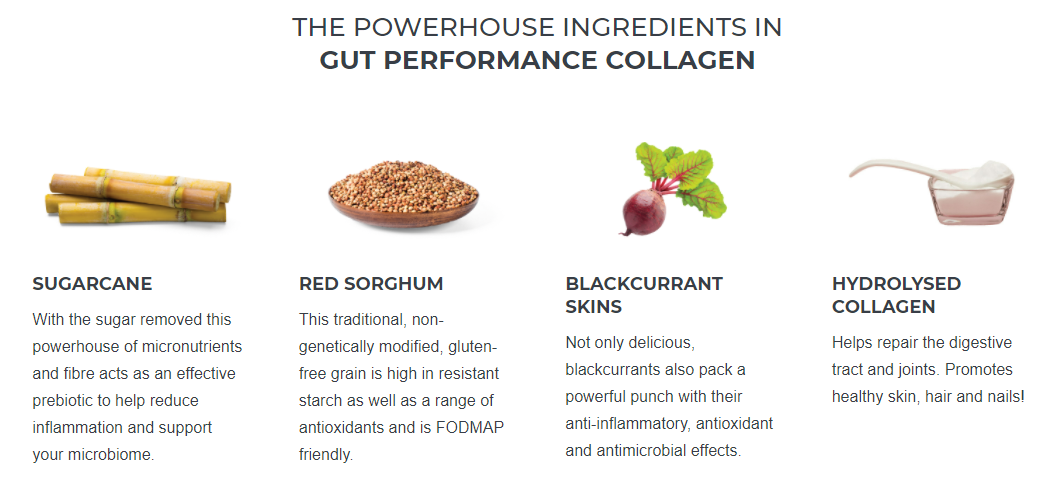 GUT PERFORMANCE COLLAGEN